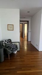 Serangoon Garden Estate (D19), Semi-Detached #554748461